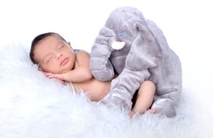 HaniArt-Babyfoto-Hanieh Tofighsaadati (1)